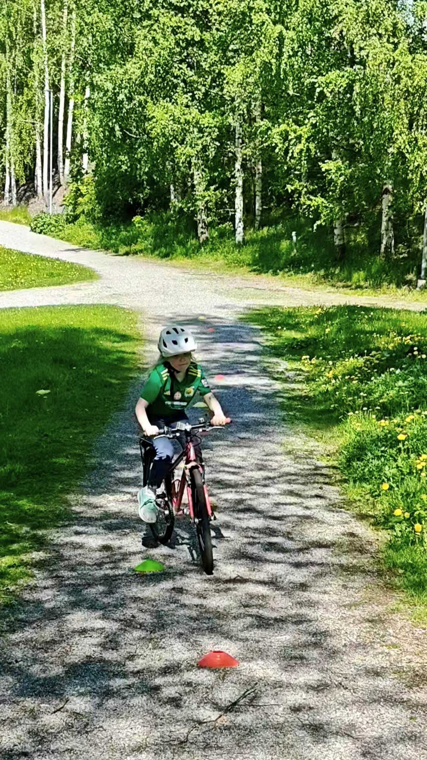 oplus_25165856 oplus_25165856